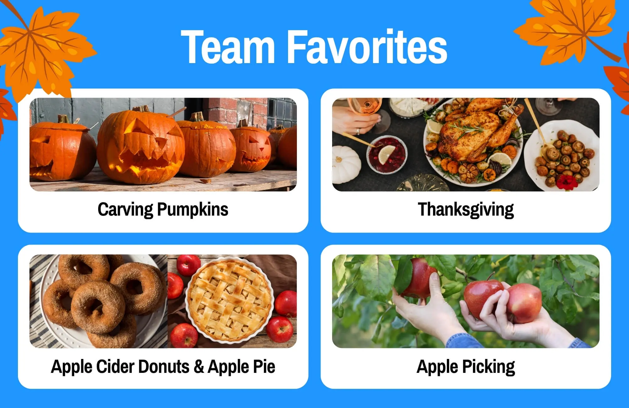Team Favorites